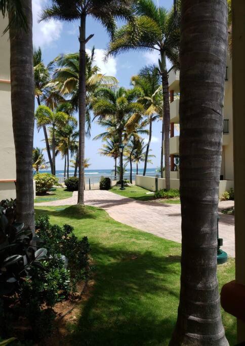 1St Level Unit Steps To Beach- Cold Air Conditioner At Poza Del Mar Luquillo Kültér fotó